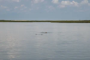Rockport fly fishing report photo