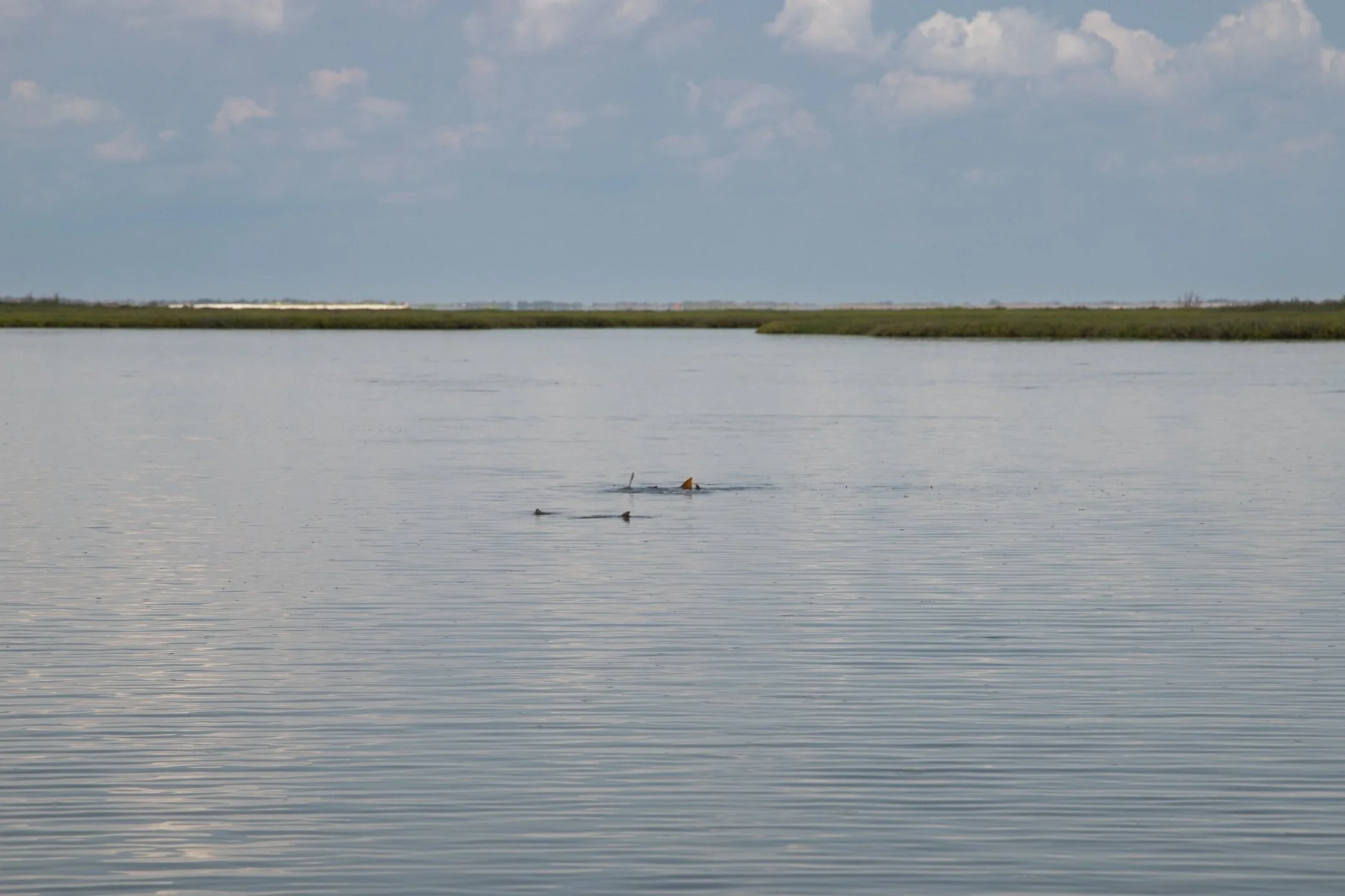 Rockport fly fishing report